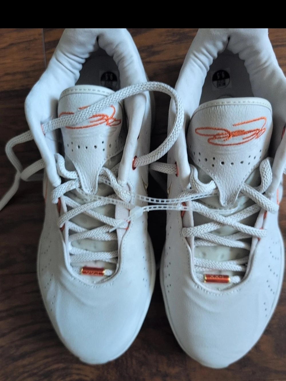 Size 9.5 - Nike LeBron 21 Akoya - FV2345-001 Used One Time